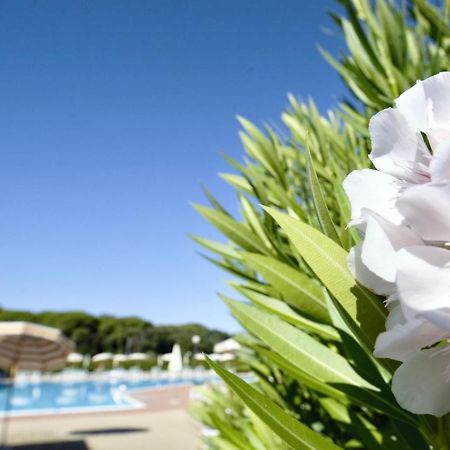 Isa-Apartments 4 Beds In Residence With Swimming-Pool In San Vincenzo, Just 600 Meters From The Sea Eksteriør bilde