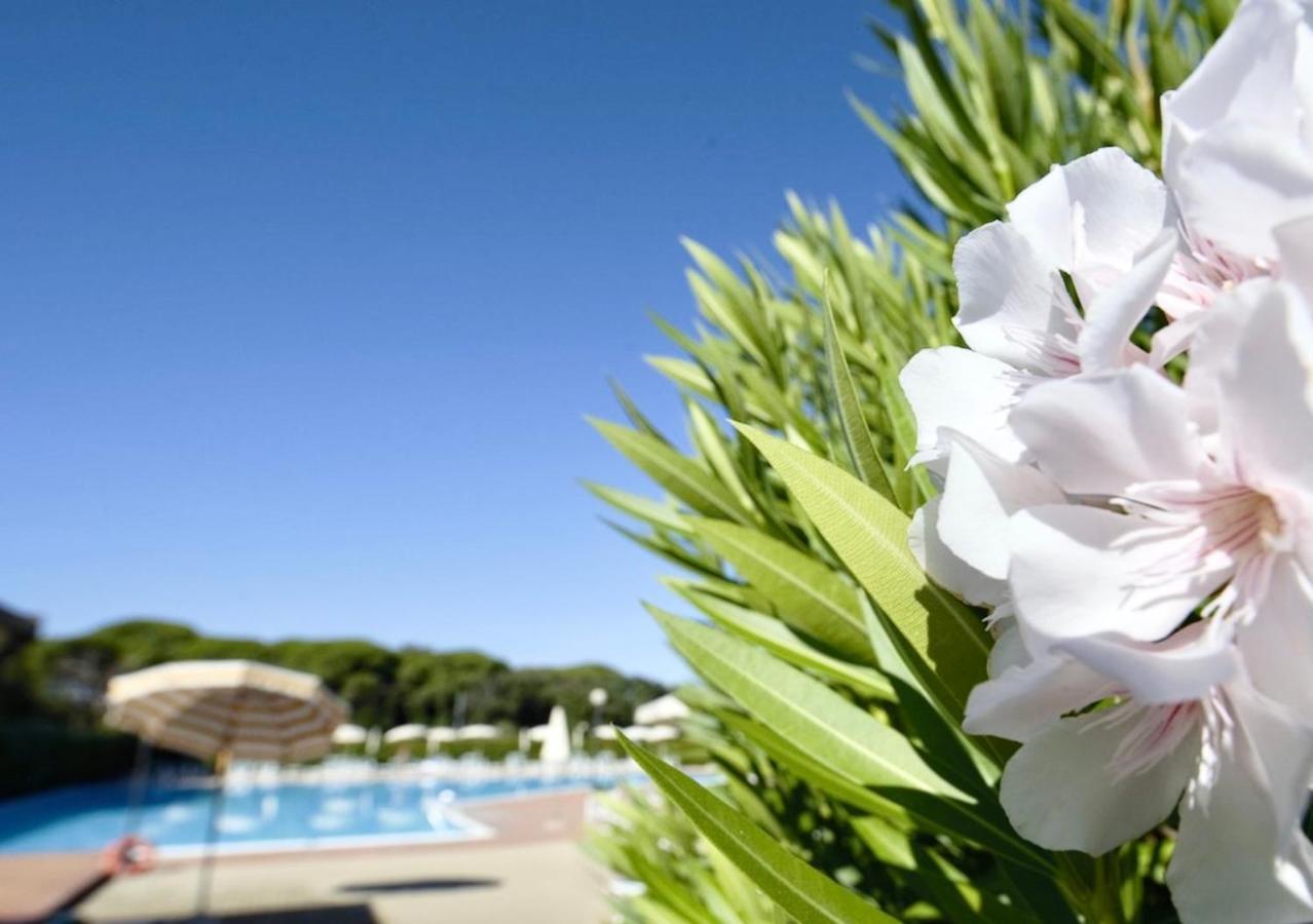Isa-Apartments 4 Beds In Residence With Swimming-Pool In San Vincenzo, Just 600 Meters From The Sea Eksteriør bilde